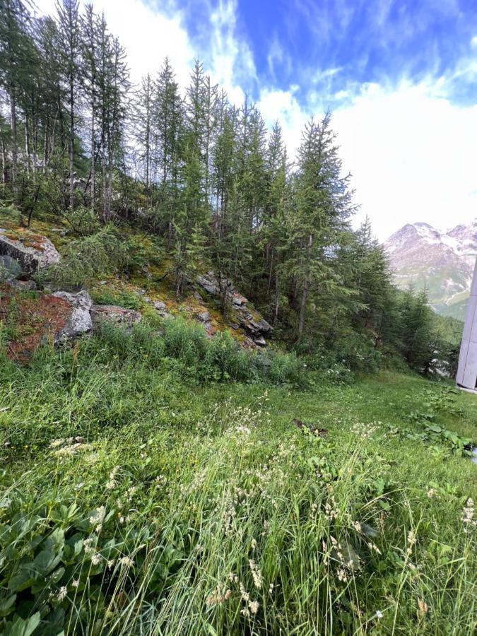 Apartament Casa Cervinia Shuss 2 Breuil-Cervinia Zewnętrze zdjęcie